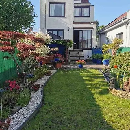 Beautiful Mexican In A Residential Area * Dilbeek